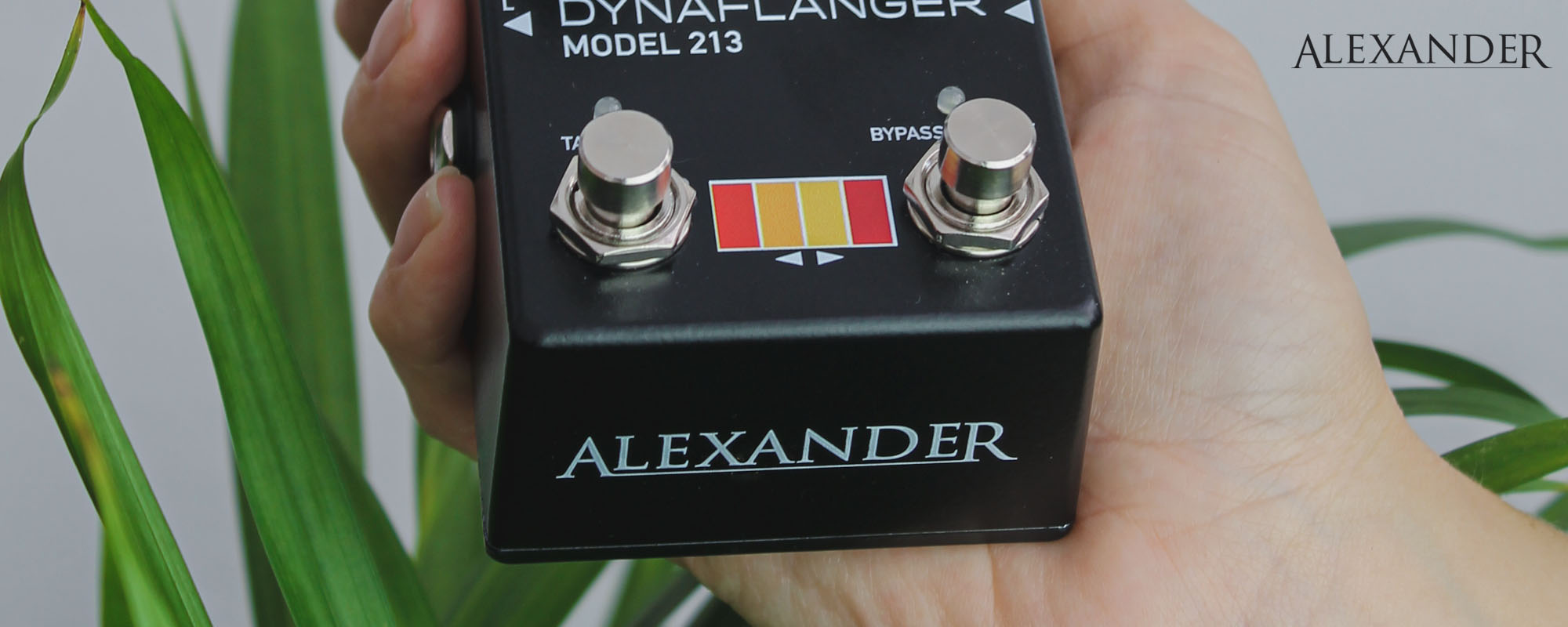 Alexander Pedals - Pedal Jungle