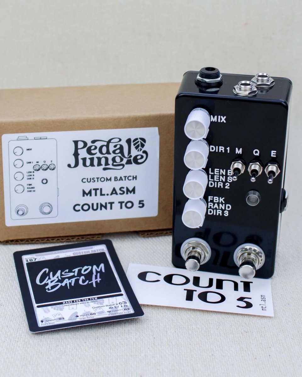 Count to 5 Delay Sampler Black/White FX Pedal | Montreal Assembly