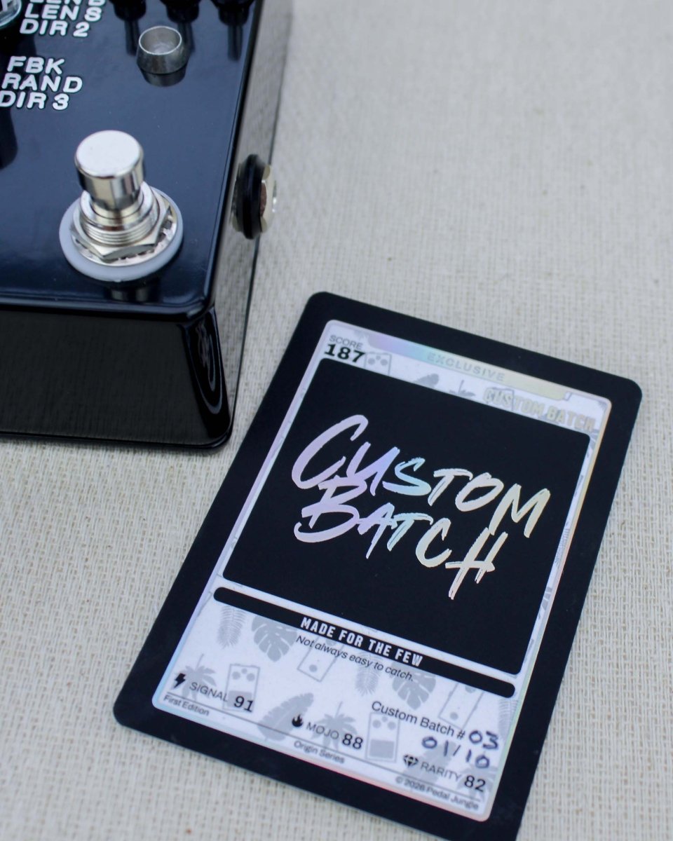 Count to 5 Delay Sampler Black/White FX Pedal | Montreal Assembly