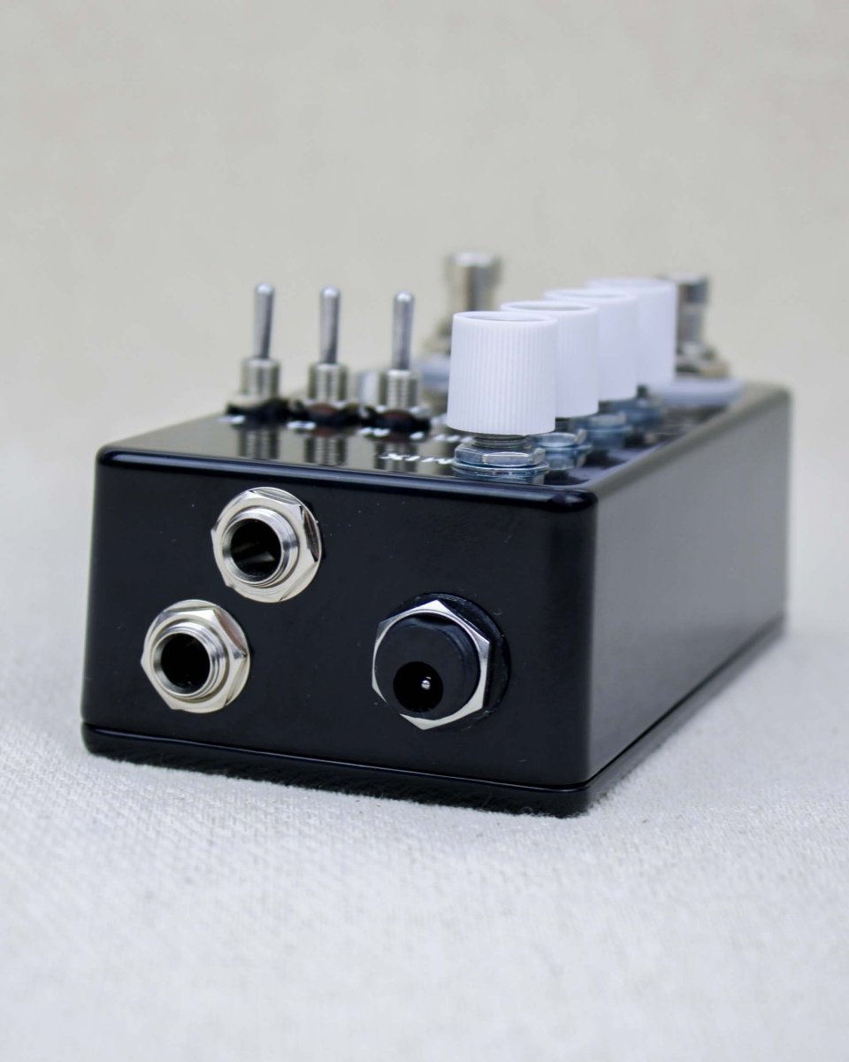 Count to 5 Delay Sampler Black/White FX Pedal | Montreal Assembly