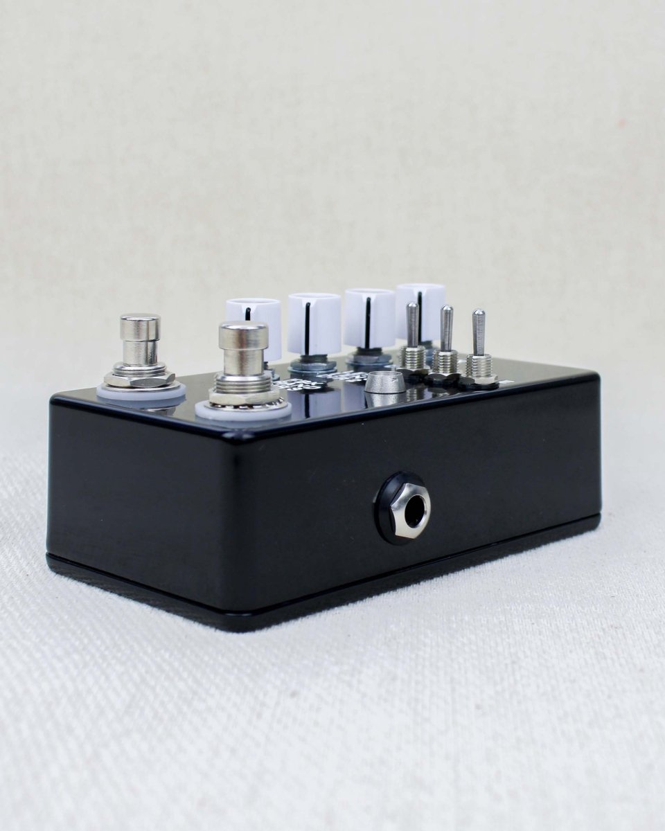 Count to 5 Delay Sampler Black/White FX Pedal | Montreal Assembly