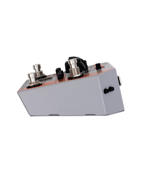 Rainger FX Drone Rainger Delay FX Pedal - Pedal Jungle