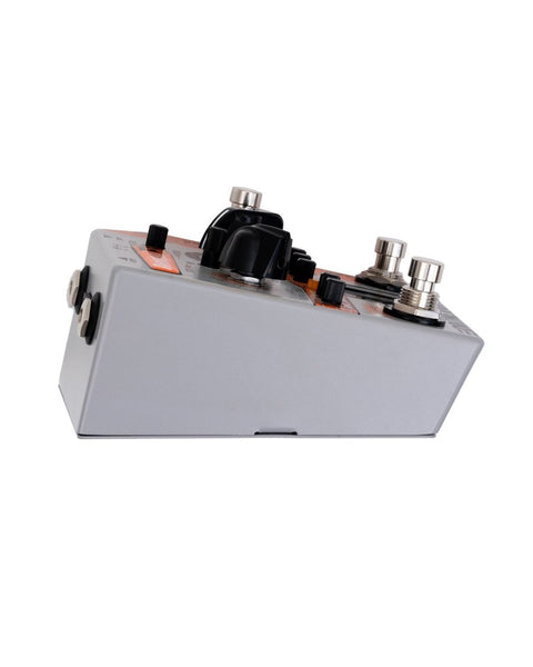 Rainger FX Drone Rainger Delay FX Pedal - Pedal Jungle