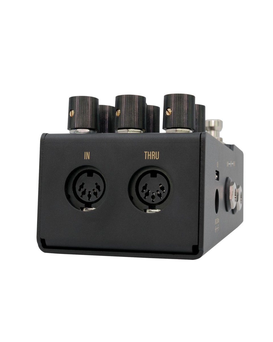 Walrus Audio R1 High-Fidelity Stereo Reverb FX Pedal - Pedal Jungle